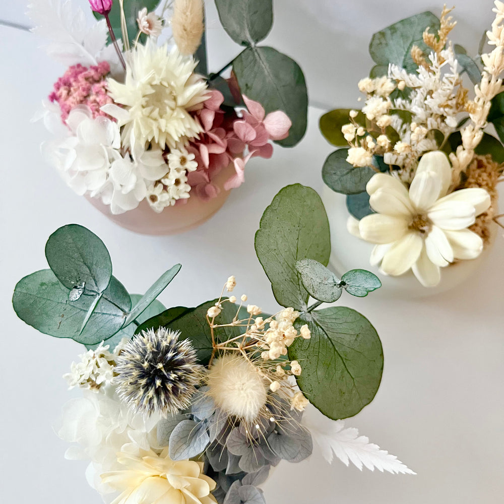 Dried floral pot arrangements in mini pots, shop gift floral pots in store at Thirroul Village NSW, Wollongong.