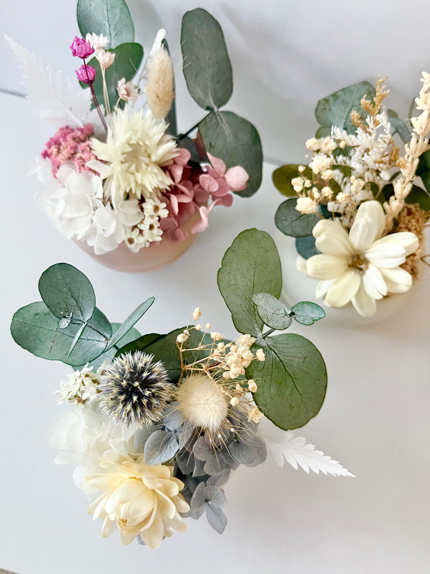 Dried floral pot arrangements in mini pots, shop gift floral pots in store at Thirroul Village NSW, Wollongong.